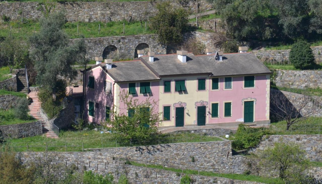 Villa Olivari - Apt La Salvia Сан Роко Екстериор снимка